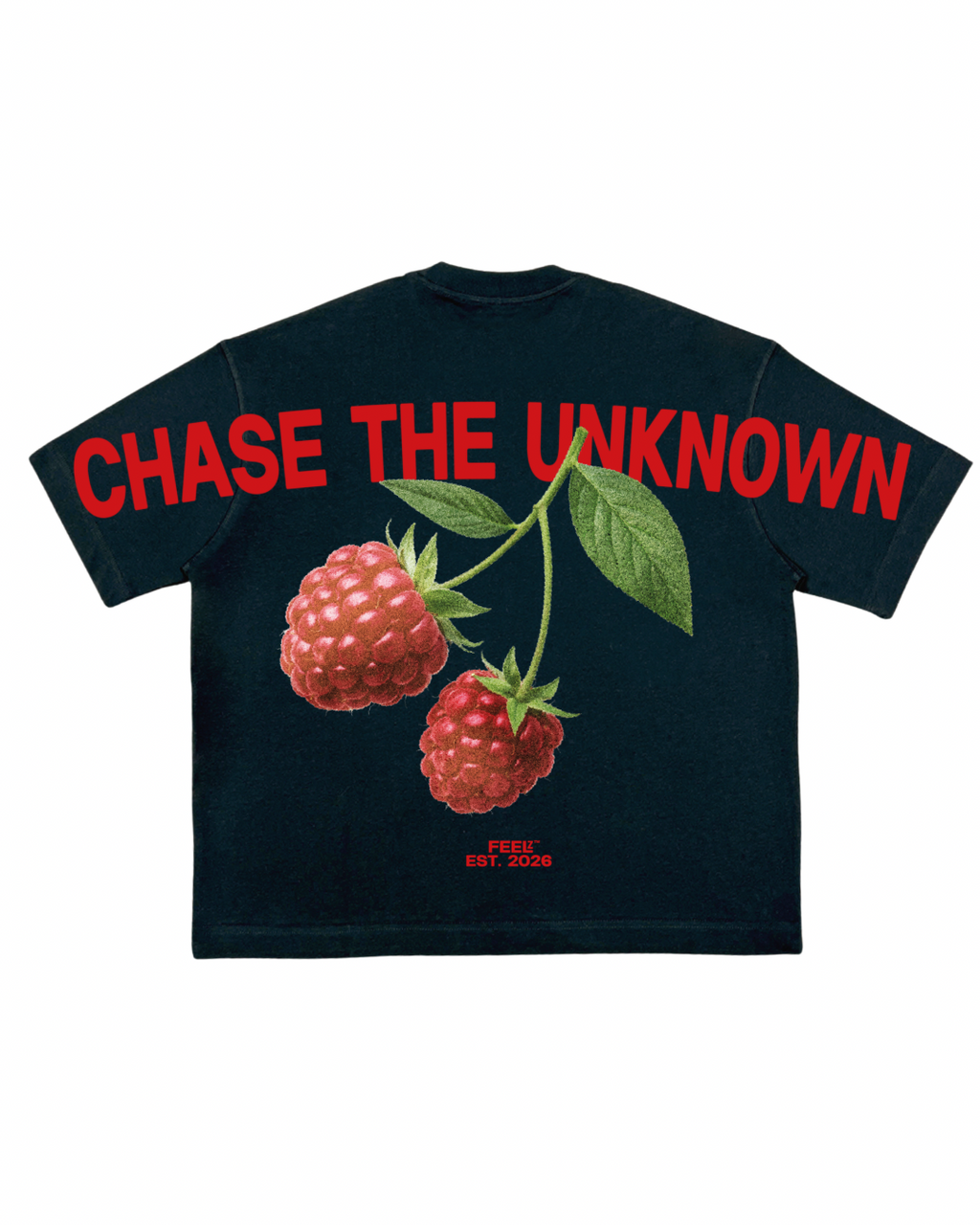 CHASE THE UNKNOWN TEE